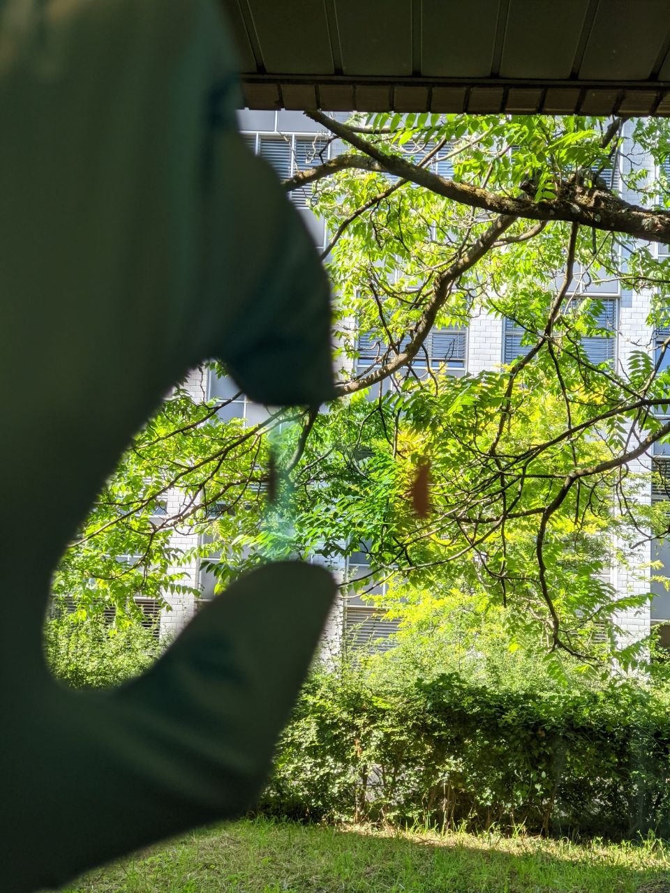 Transparent Organic PV